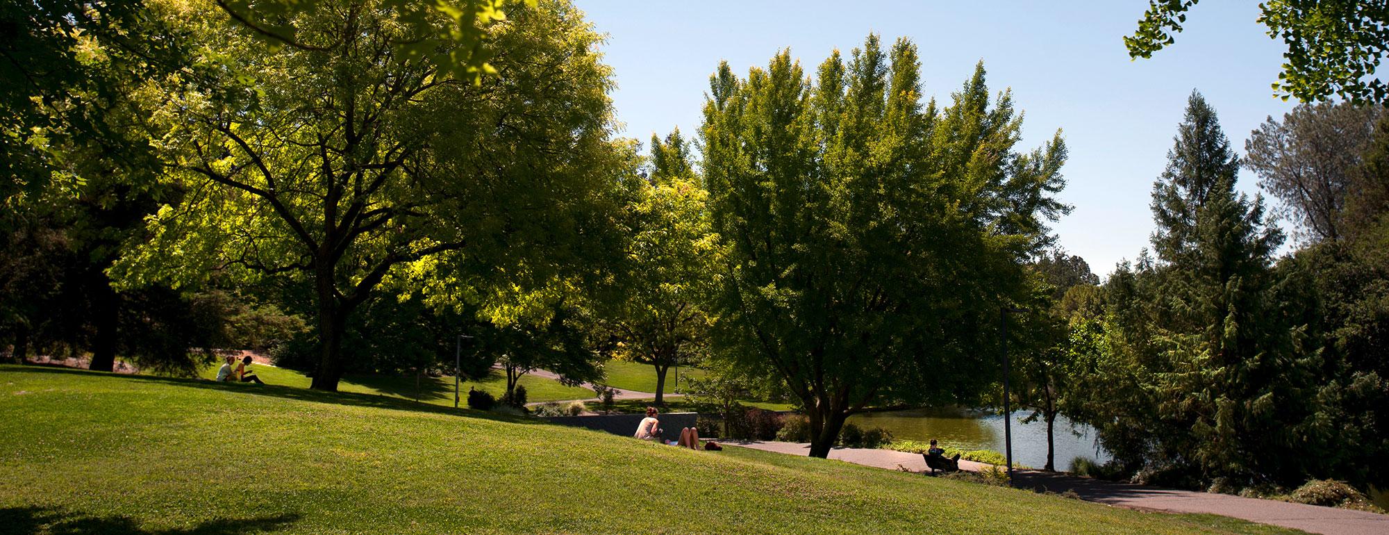 Panoramic photo of UC Davis Arboretum.